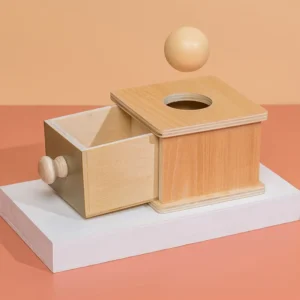 Montessori Coin Box Set